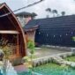 Salah satu penginapan di area kebun teh yang saat ini menjadi primadona di Kepahiang.