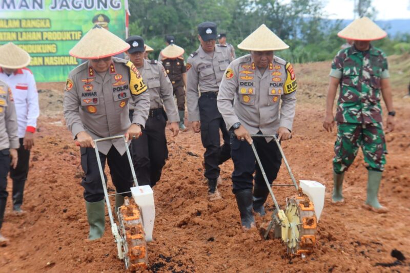 Kapolda Bengkulu bersama Forkompindah Benteng menanam jagung di Desa Renah Semanek