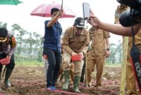 Mewujudkan asta cita program presiden, bupati melakukan penanaman jagung