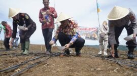 Wabup bersama Forkompinda menanam jagung di Desa Talang Babatan sebagai upaya mewujudkan ketahanan pangan di Kepahiang