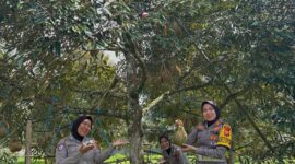 Polwan berkunjung ke wisata petik durian di Kecamatan Merigi, Kepahiang. (foto: Medsos Kebun Buah Qyta)