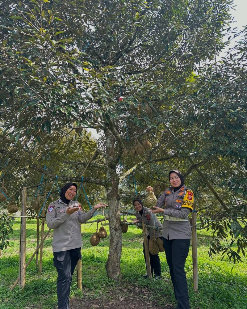 Polwan berkunjung ke wisata petik durian di Kecamatan Merigi, Kepahiang. (foto: Medsos Kebun Buah Qyta)