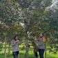 Polwan berkunjung ke wisata petik durian di Kecamatan Merigi, Kepahiang. (foto: Medsos Kebun Buah Qyta)