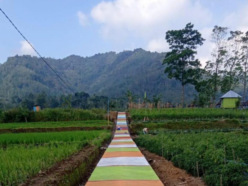 Salah satu fasilitas desa wisata yang dibangun komunitas untuk menikmati pemandangan alam desa di Tangsi Duren 