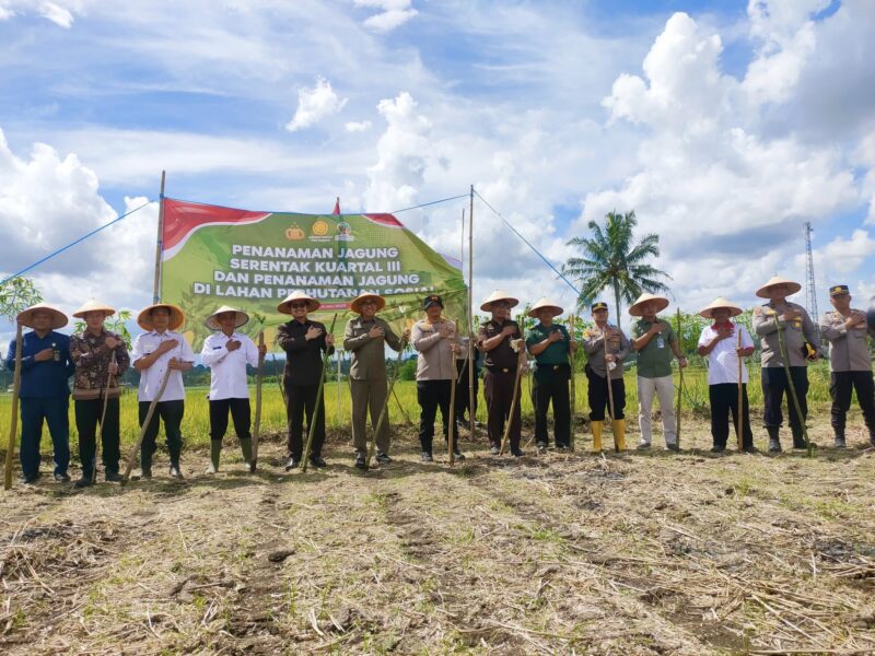 Ketua DPRD bersama Kapolres dan Forkopimda lainnya menanam jagung serentak di Desa Suro Lembak beberapa waktu lalu