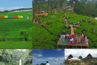 Berbagai objek wisata di Kepahiang menarik dikunjungi. Tahun ini Disparpora menargetkan ada 1 kunjungan wisatawan.