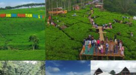 Berbagai objek wisata di Kepahiang menarik dikunjungi. Tahun ini Disparpora menargetkan ada 1 kunjungan wisatawan.