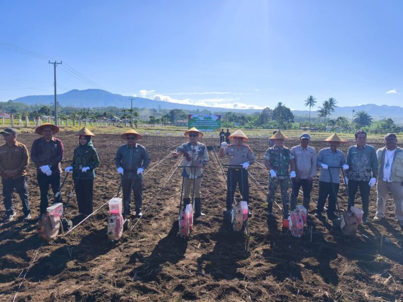 Bupati dan Kapolres serta jajaran saat menanam jagung hibrida sebagai komitmen mewujudkan ketahanan pangan.(Andreas/warta aspirasi)