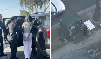 Bayi meninggal setelah ditemukan di tempat sampah di Los Angeles Selatan, ibu ditahan, kata polisi